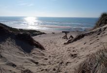 La Foret d'Ecault景点图片