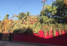 Community Garden景点图片