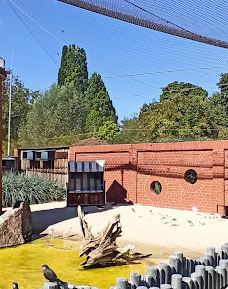 海德堡动物园-海德堡