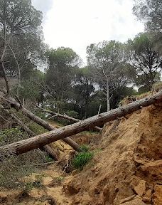 El Pinar del Rey-圣罗克