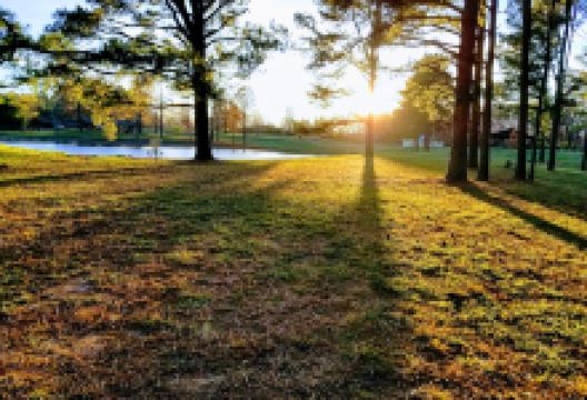 Konarcik Park景点图片