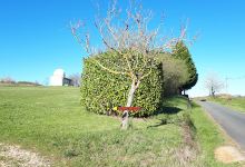 Observatoire Astronomique de Lacapelle-Biron景点图片