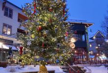 Dercum Ice Skating Rink景点图片