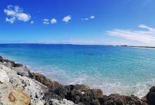 Jervoise Bay Dog Beach景点图片