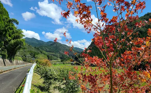 矢谷渓谷