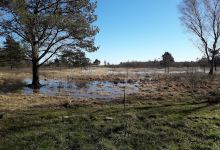 hundeskov grene sande景点图片