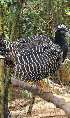 Butterfly Park Empuriabrava-Alt Emporda