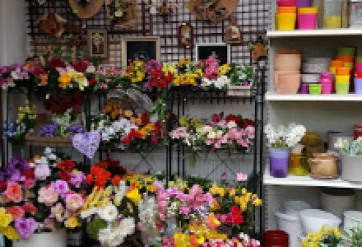 Zahradnictví a květinářství GARDENIA购物图片