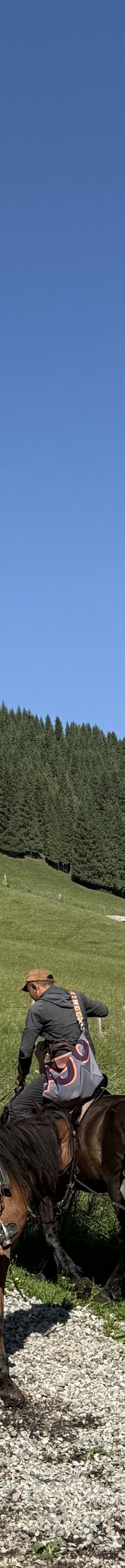 库尔德宁景区-巩留