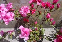 水云间购物图片