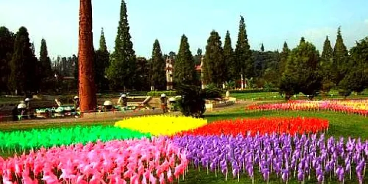 朱仙鎮紫海薰衣草莊園