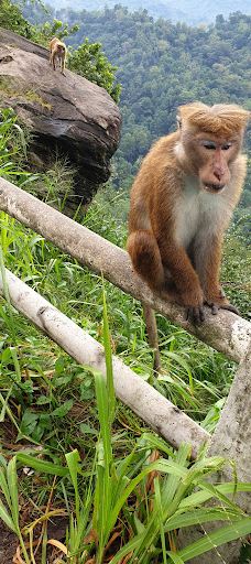 Kadugannawa Rock View and Rest Area-Gangawatakorale