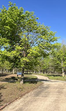 富士山人民公园-富士吉田市