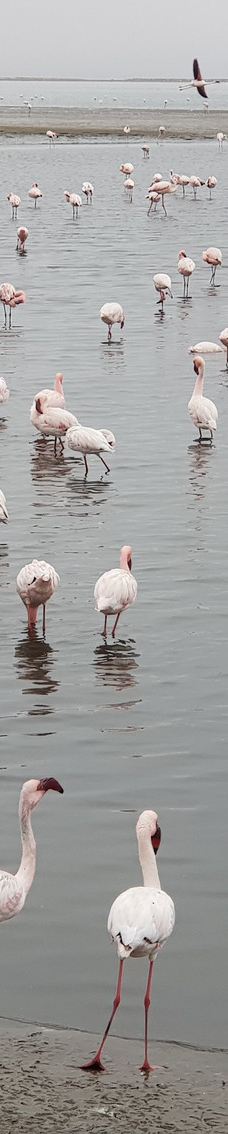 长滩休闲公园-Langstrand