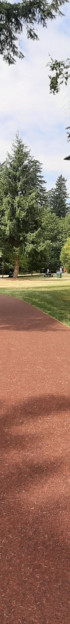 中央公园-本那比