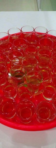 Dong Tam Snake Farm-周城县