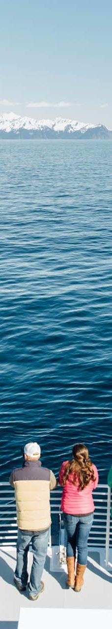 Kenai Fjords Tours-西沃德