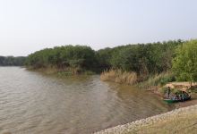 Sukhna Wildlife Sanctuary景点图片