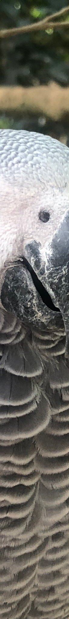 Butterfly Park Empuriabrava-Alt Emporda