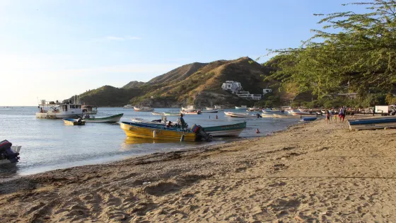 Playaca