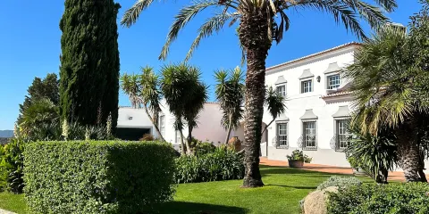 Joao Portugal Ramos Wines