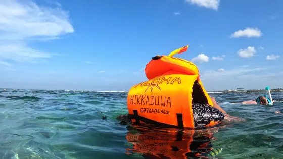 Coral Sanctuary