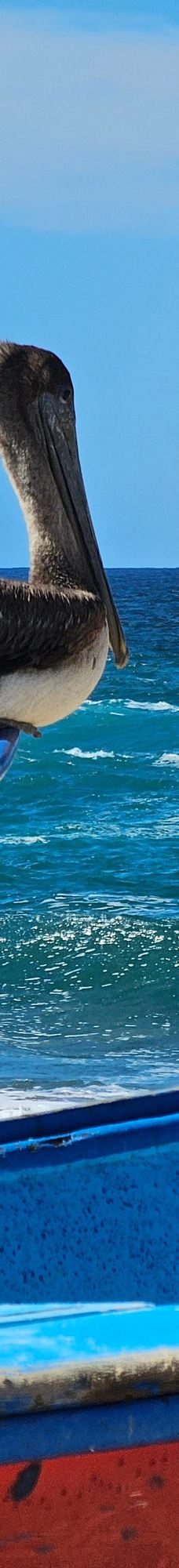 Punta Lobos-拉巴斯