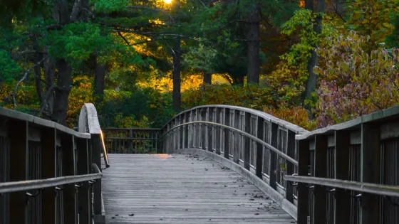 The Gardens at SIUE