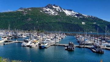 Whittier Harbor