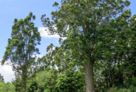 The Warkworth Museum景点图片