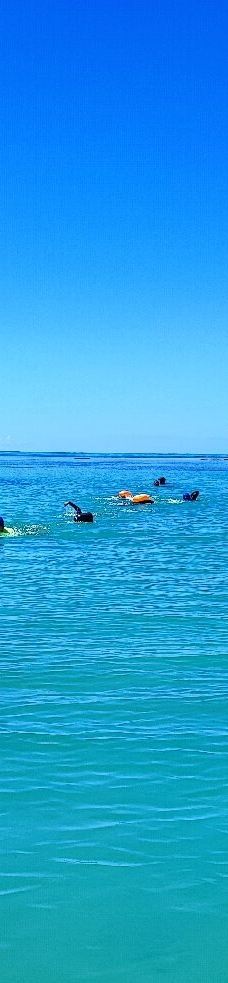 Piscinas Naturais de Pajucara-马塞约