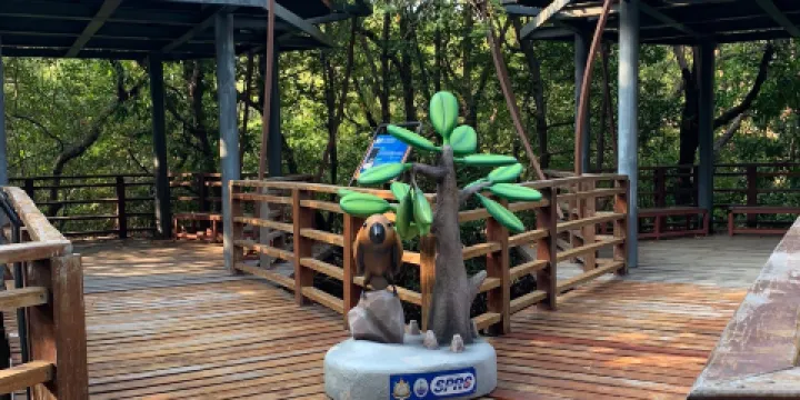 Sky View Tower and Mangrove Research Center