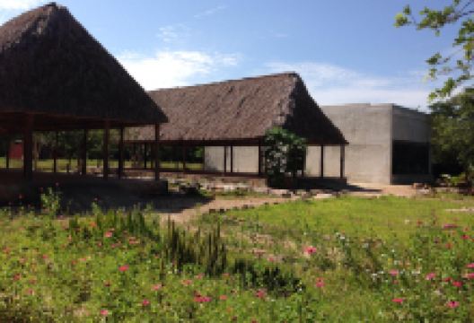 Museo Becal景点图片