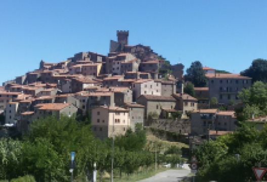 Aldobrandesca Fortress景点图片