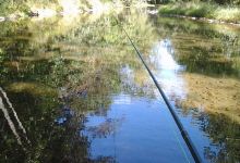 Sugar Grove Trophy Trout Farm景点图片