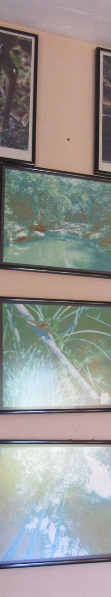 Parque Estadual Mata do Limoeiro-伊塔比拉