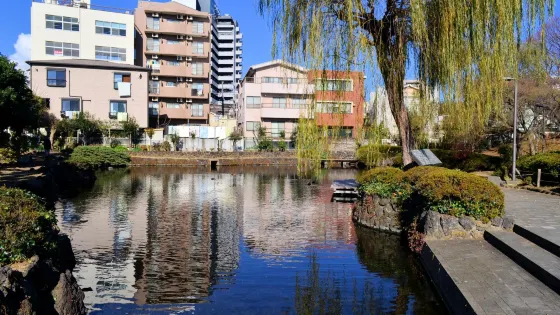 菰池公園