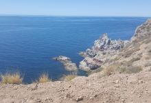 Estero el Soldado, Area Natural Protegida景点图片