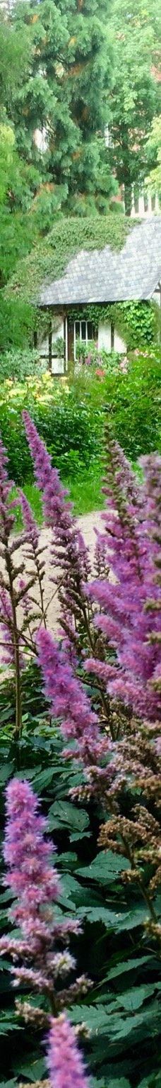 Alter Botanischer Garten-基尔