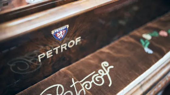 Museum PETROF