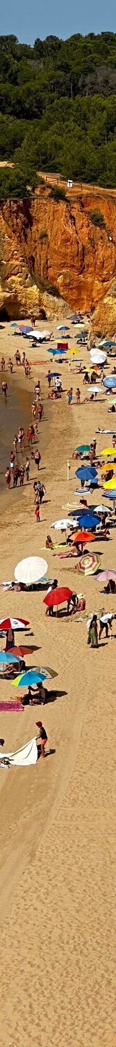 Praia do Alemao-波尔蒂芒