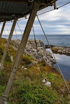 Eldhusøya Turistvegprosjekt-阿维雷