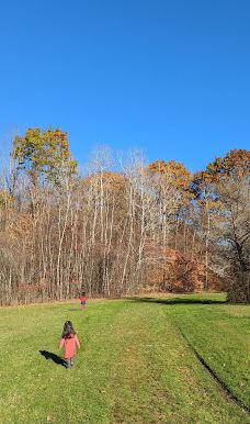 Jones Park-维斯塔