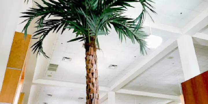 Dustin Michael Sekula Library