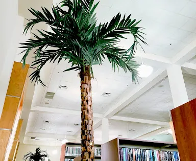 Dustin Michael Sekula Library