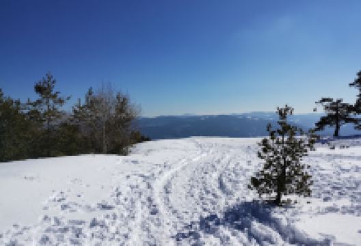 Viewpoint景点图片