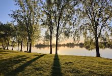 Parc Pierre-Payet景点图片