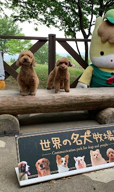 世界名犬牧场-前桥市