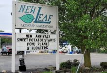 New Leaf Landscape Garden Center购物图片