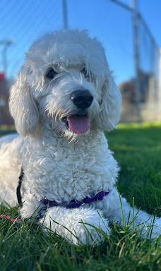 Forest Glen Park-森特勒尔波因特